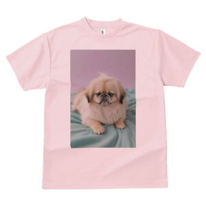 yLj[Y TVc fB[X t@  t  vg JWA 킢 lԗp h ̃fUC ʔ yLj[Y