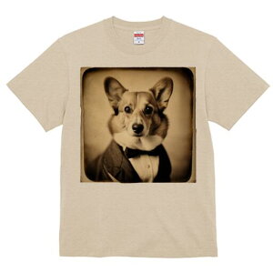 R[M[ TVc fB[X t@  t  vg JWA 킢 lԗp h ̃fUC ʔ ^LV[h R[M[ lN^C