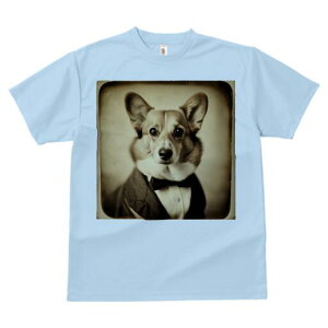 R[M[ TVc fB[X t@  t  vg JWA 킢 lԗp h ̃fUC ʔ ^LV[h R[M[ lN^C