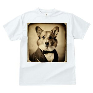 R[M[ TVc fB[X t@  t  vg JWA 킢 lԗp h ̃fUC ʔ ^LV[h R[M[ lN^C