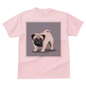 pO TVc fB[X t@  t  vg JWA 킢 lԗp h ̃fUC ʔ Kl pO