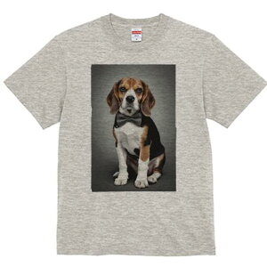 r[O TVc fB[X t@  t  vg JWA 킢 lԗp h ̃fUC ʔ lN^C r[O