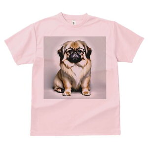 yLj[Y TVc fB[X t@  t  vg JWA 킢 lԗp h ̃fUC ʔ Kl yLj[Y