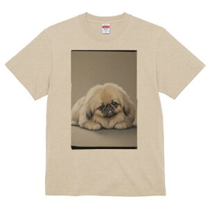 yLj[Y TVc fB[X t@  t  vg JWA 킢 lԗp h ̃fUC ʔ yLj[Y