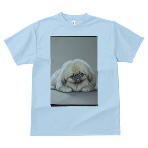 yLj[Y TVc fB[X t@  t  vg JWA 킢 lԗp h ̃fUC ʔ yLj[Y