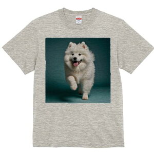 TGh TVc fB[X t@  t  vg JWA 킢 lԗp h ̃fUC ʔ TGh