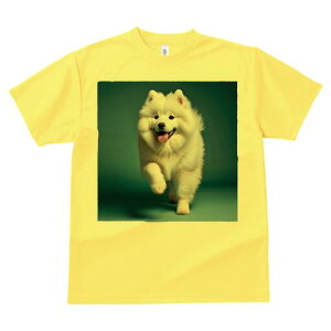 TGh TVc fB[X t@  t  vg JWA 킢 lԗp h ̃fUC ʔ TGh