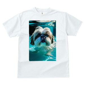 V[Y[ TVc fB[X t@  t  vg JWA 킢 lԗp h ̃fUC ʔ  V[Y[ v[