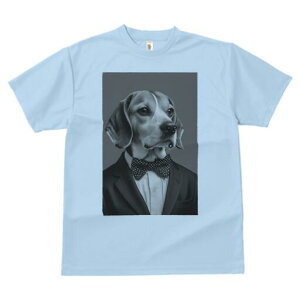 r[O TVc fB[X t@  t  vg JWA 킢 lԗp h ̃fUC ʔ lN^C r[O X[c