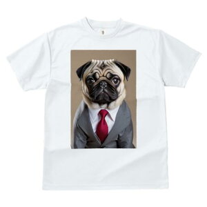 pO TVc fB[X t@  t  vg JWA 킢 lԗp h ̃fUC ʔ X[c pO lN^C CVc