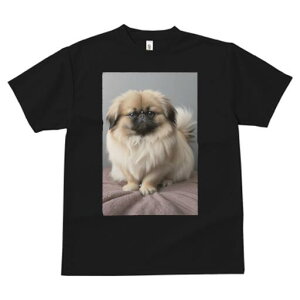 yLj[Y TVc fB[X t@  t  vg JWA 킢 lԗp h ̃fUC ʔ yLj[Y