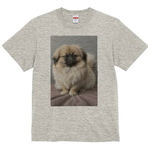 yLj[Y TVc fB[X t@  t  vg JWA 킢 lԗp h ̃fUC ʔ yLj[Y