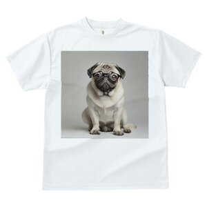 pO TVc Y LbY t@  t  vg JWA 킢 lԗp h ̃fUC ʔ Kl pO