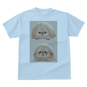 yLj[Y TVc fB[X t@  t  vg JWA 킢 lԗp h ̃fUC ʔ yLj[Y