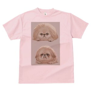 yLj[Y TVc fB[X t@  t  vg JWA 킢 lԗp h ̃fUC ʔ yLj[Y