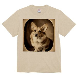 R[M[ TVc fB[X t@  t  vg JWA 킢 lԗp h ̃fUC ʔ AeB[N R[M[ g