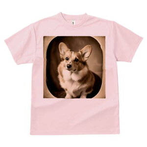 R[M[ TVc fB[X t@  t  vg JWA 킢 lԗp h ̃fUC ʔ AeB[N R[M[ g