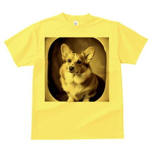 R[M[ TVc fB[X t@  t  vg JWA 킢 lԗp h ̃fUC ʔ AeB[N R[M[ g