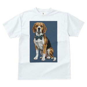 r[O TVc fB[X t@  t  vg JWA 킢 lԗp h ̃fUC ʔ lN^C r[O