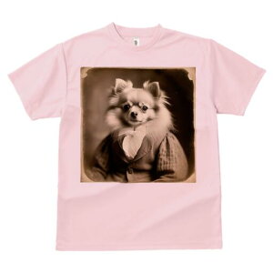 ` TVc fB[X t@  t  vg JWA 킢 lԗp h ̃fUC ʔ ё ` 