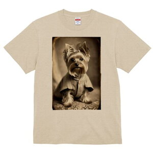 [NV[eA TVc fB[X t@  t  vg JWA 킢 lԗp h ̃fUC ʔ g [NV[eA 