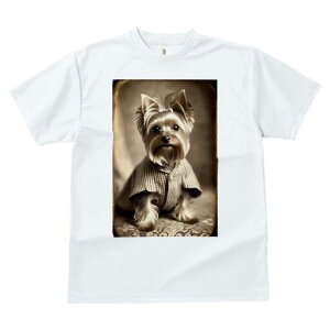 [NV[eA TVc fB[X t@  t  vg JWA 킢 lԗp h ̃fUC ʔ g [NV[eA 