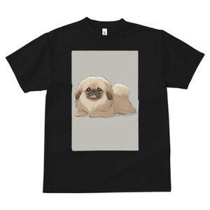 yLj[Y TVc fB[X t@  t  vg JWA 킢 lԗp h ̃fUC ʔ yLj[Y