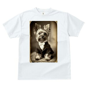 [NV[eA TVc fB[X t@  t  vg JWA 킢 lԗp h ̃fUC ʔ lN^C [NV[eA X[c