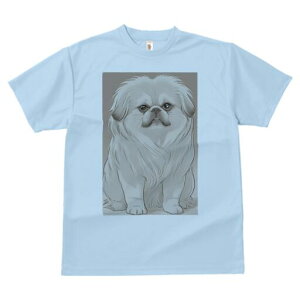 yLj[Y TVc fB[X t@  t  vg JWA 킢 lԗp h ̃fUC ʔ yLj[Y