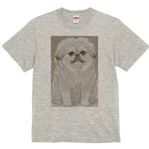 yLj[Y TVc fB[X t@  t  vg JWA 킢 lԗp h ̃fUC ʔ yLj[Y