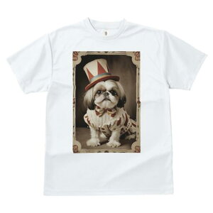 V[Y[ TVc fB[X t@  t  vg JWA 킢 lԗp h ̃fUC ʔ Xq V[Y[ T[JX ߑ g