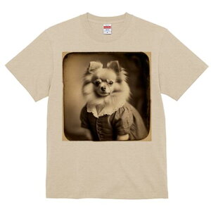 |jA TVc fB[X t@  t  vg JWA 킢 lԗp h ̃fUC ʔ AeB[N |jA g 