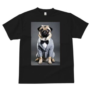 pO TVc fB[X t@  t  vg JWA 킢 lԗp h ̃fUC ʔ lN^C pO X[c