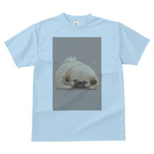 yLj[Y TVc fB[X t@  t  vg JWA 킢 lԗp h ̃fUC ʔ yLj[Y