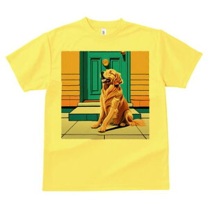 �S�[���f�����g���o�[ T�V���c ���f�B�[�X ���t�@�� ���� �t�� ���� �v�����g �J�W���A�� ���킢�� �l�ԗp ���h ���������̃f�U�C�� �ʔ� �h�A �S�[���f�����g���o�[ �� ����