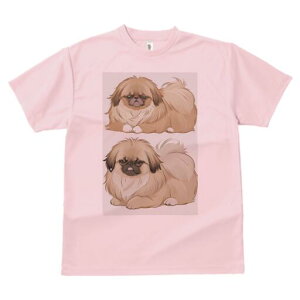 yLj[Y TVc fB[X t@  t  vg JWA 킢 lԗp h ̃fUC ʔ ӂӂ yLj[Y 킢  ybg