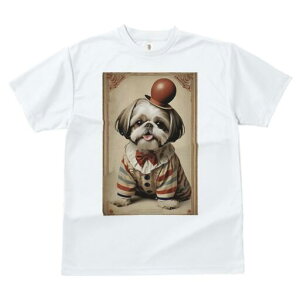 シーズー Tシャツ レディース 犬ファン 半袖 春夏 犬柄 プリント カジュアル かわいい 人間用 個性派 ここだけのデザイン 面白 帽子 シーズー サーカス ピエロ 衣装