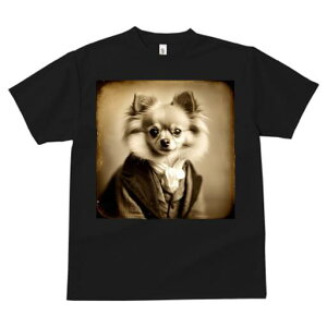 ` TVc fB[X t@  t  vg JWA 킢 lԗp h ̃fUC ʔ ё ` 