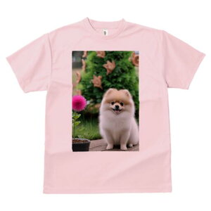 |jA TVc Y LbY t@  t  vg JWA 킢 lԗp h ̃fUC ʔ  |jA sN̉ Aؔ 