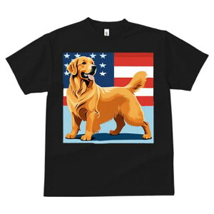 S[fgo[ TVc fB[X t@  t  vg JWA 킢 lԗp h ̃fUC ʔ AJ S[fgo[