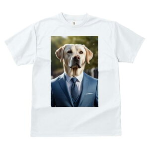 uh[go[ TVc fB[X t@  t  vg JWA 킢 lԗp h ̃fUC ʔ X[c uh[go[ lN^C C