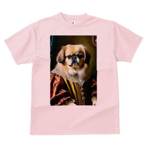 yLj[Y TVc fB[X t@  t  vg JWA 킢 lԗp h ̃fUC ʔ ё yLj[Y M ߑ [X