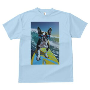 {XgeA TVc Y LbY t@  t  vg JWA 킢 lԗp h ̃fUC ʔ T[tB {XgeA g C TOX