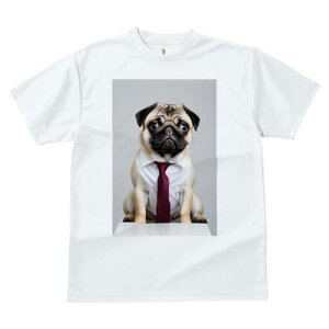 pO TVc fB[X t@  t  vg JWA 킢 lԗp h ̃fUC ʔ lN^C pO CVc