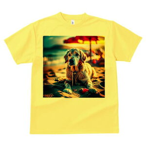 S[fgo[ TVc fB[X t@  t  vg JWA 킢 lԗp h ̃fUC ʔ r[` S[fgo[ C P 