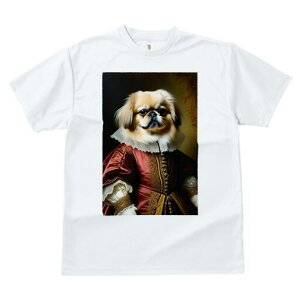 yLj[Y TVc fB[X t@  t  vg JWA 킢 lԗp h ̃fUC ʔ  yLj[Y hX M ߑ