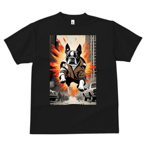 {XgeA TVc fB[X t@  t  vg JWA 킢 lԗp h ̃fUC ʔ  {XgeA  X WPbg