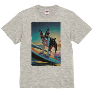 {XgeA TVc fB[X t@  t  vg JWA 킢 lԗp h ̃fUC ʔ T[tB {XgeA C TOX 