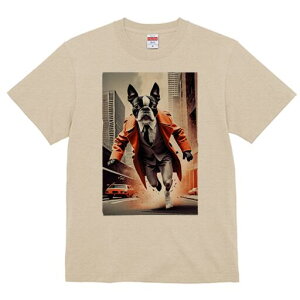 {XgeA TVc fB[X t@  t  vg JWA 킢 lԗp h ̃fUC ʔ X[c {XgeA R[g X 