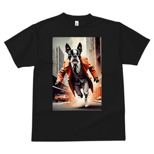 {XgeA TVc fB[X t@  t  vg JWA 킢 lԗp h ̃fUC ʔ X[c {XgeA R[g X 